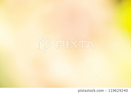 Image of a yellow flower field (stock photo) 119629240