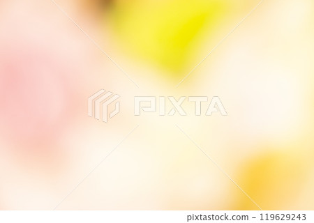 Image of a yellow flower field (stock photo) Image of a yellow flower field (stock photo) 119629243