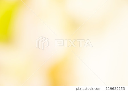 Image of a yellow flower field (stock photo) 119629253