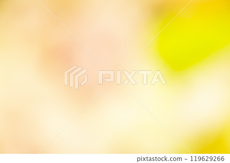 黃色花田圖像(照片素材) 黃色花田圖像(照片素材) 119629266