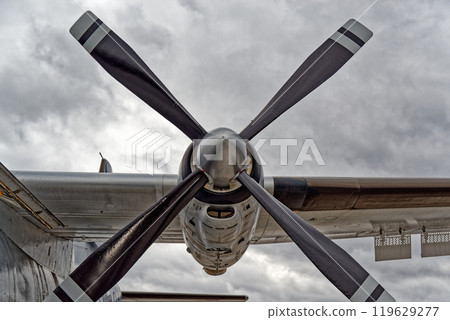 Conducting a detailed examination of the propeller blade with cloudy sky in the background. Transall C-160 Conducting a detailed examination of the propeller blade with cloudy sky in the background. Transall C-160 119629277