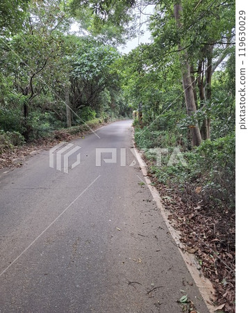 mountain road 119630029