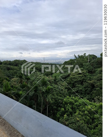 Mountain vista 119630030