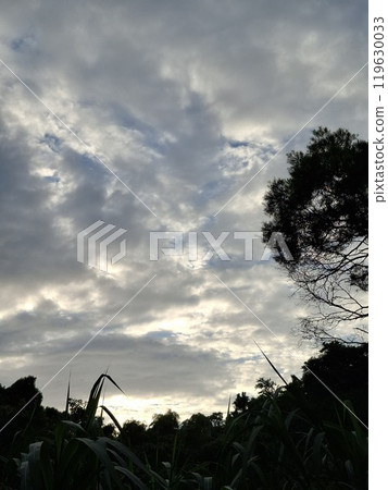 天空浮雲 天空浮雲 119630033