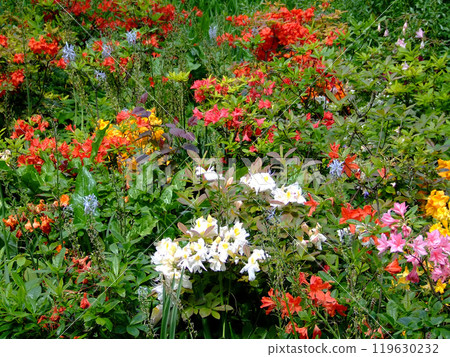 Flowers garden 119630232