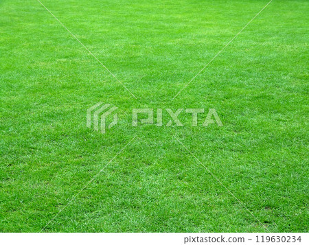 Football field grass Football field grass 119630234