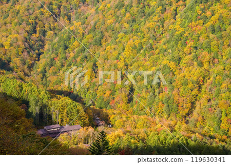Autumn foliage at Shirahone Onsen (Awanoyu Ryokan) as seen from the Kamikochi Norikura Super Forest Road Autumn foliage at Shirahone Onsen (Awanoyu Ryokan) as seen from the Kamikochi Norikura Super Forest Road 119630341