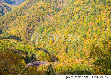 從上高地乘鞍超級林道看到的白根溫泉(粟之湯旅館)的紅葉 從上高地乘鞍超級林道看到的白根溫泉(粟之湯旅館)的紅葉 119630347