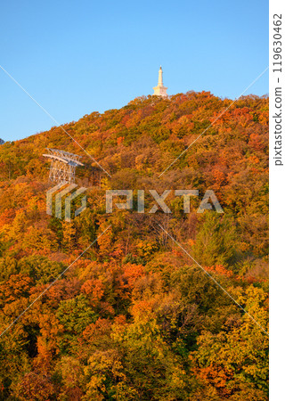藻岩山的秋景_4927 藻岩山的秋景_4927 119630462