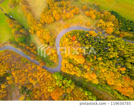 A picturesque winding road meanders through vibrant autumn foliage, showcasing a stunning mix of golden, orange, and green leaves in a serene natural setting. A picturesque winding road meanders through vibrant autumn foliage, showcasing a stunning mix of golden, orange, and green leaves in a serene natural setting. 119630785