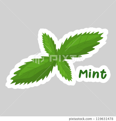 Sticker with green mint leaves, vector Sticker with green mint leaves, vector 119631478