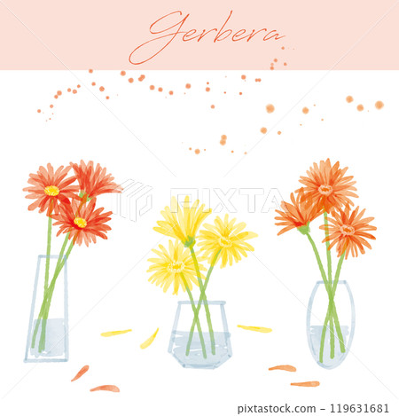 非洲菊手寫水彩插圖 3 非洲菊手寫水彩插圖 3 119631681