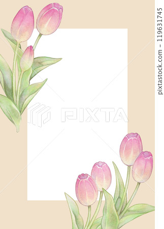 春天粉紅鬱金香明信片模板 119631745