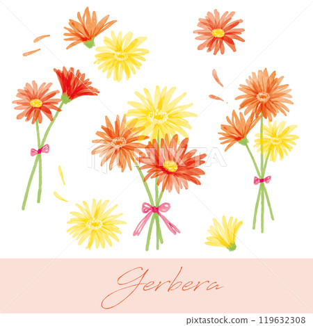非洲菊手寫水彩插圖 4 119632308