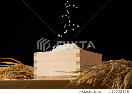 Rice served in a masu Rice served in a masu 119632556