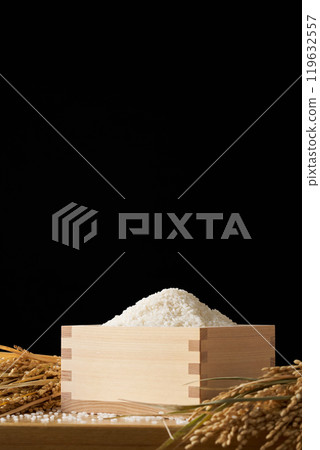 Rice served in a masu Rice served in a masu 119632557