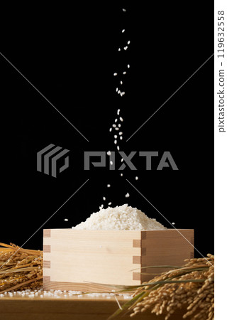 Rice served in a masu Rice served in a masu 119632558