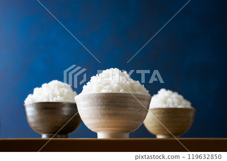A large serving of rice in a rice bowl 119632850