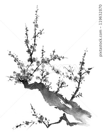 Plum tree ink painting 119632870