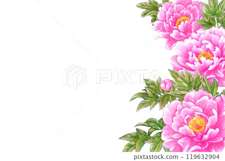 Peony flower hand-drawn material postcard template Japanese and Chinese style 119632904