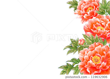 Peony flower hand-drawn material postcard template Japanese and Chinese style 119632906
