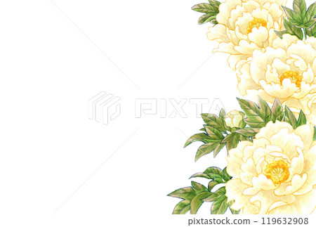 牡丹花手繪素材明信片模板日式/中式 牡丹花手繪素材明信片模板日式/中式 119632908