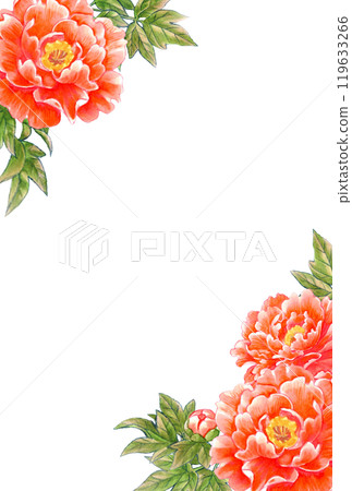 牡丹花手繪素材明信片模板日式/中式 119633266