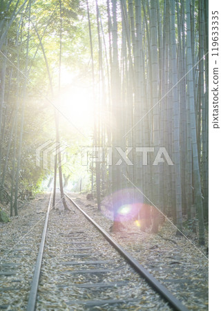 The Kurayoshi Line shining in the sunlight filtering through the trees 119633335