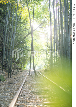 The Kurayoshi Line shining in the sunlight filtering through the trees 119633337