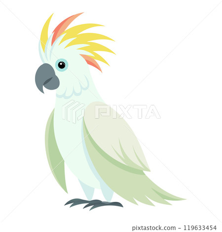 cockatoo flat style isolated on white background 119633454