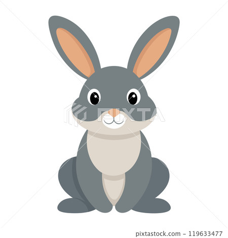 rabbit flat style isolated on white background rabbit flat style isolated on white background 119633477