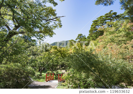 Yahiko Park, Niigata 119633632