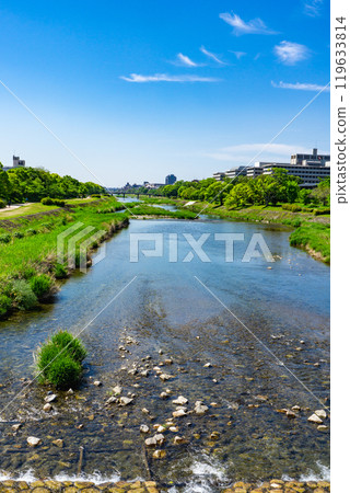Kamo River view from Kamo Ohashi Bridge, Kamigyo Ward, Kyoto City 119633814