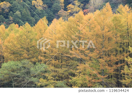 上高地，有秋葉的山脈，秋天的風景 119634424
