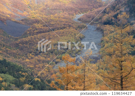 上高地，霧濛濛的山坡，秋葉，秋天的風景 119634427