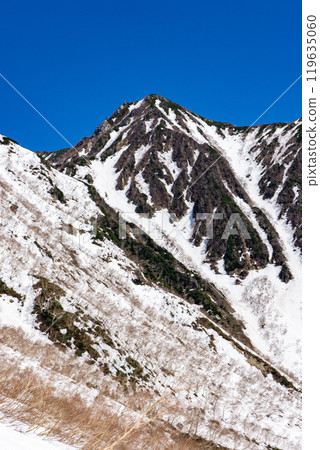 初夏尚有積雪的西嶽、北阿爾卑斯山矢梨岳 初夏尚有積雪的西嶽、北阿爾卑斯山矢梨岳 119635060