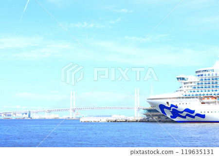 A view of the Diamond Princess moored at Osanbashi Pier in Yokohama, Kanagawa Prefecture 119635131