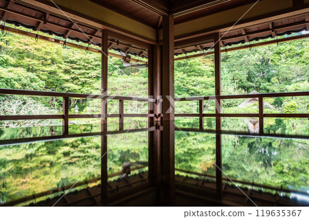 眺望新綠色的舊竹林院 119635367