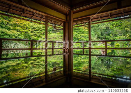 眺望新綠色的舊竹林院 119635368