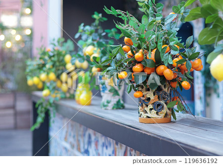 Branch with lemons, tangerines in ceramic vase on table. Traditional pattern, Sicily, Italy. Fruit and decor. 119636192