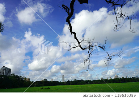 Wide angle view of Kolkata Maidan with no leaves tree Wide angle view of Kolkata Maidan with no leaves tree 119636389