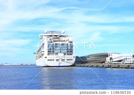 停泊在神奈川縣橫濱市大棧橋的鑽石公主號風景 119636530