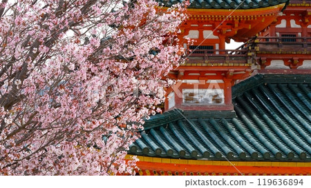 平安神宮左近的櫻花暴風雪 平安神宮左近的櫻花暴風雪 119636894