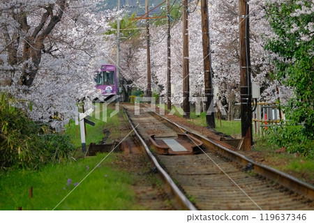 櫻花隧道和火車 119637346