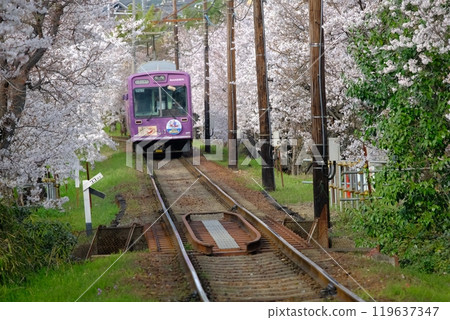櫻花隧道和火車 櫻花隧道和火車 119637347