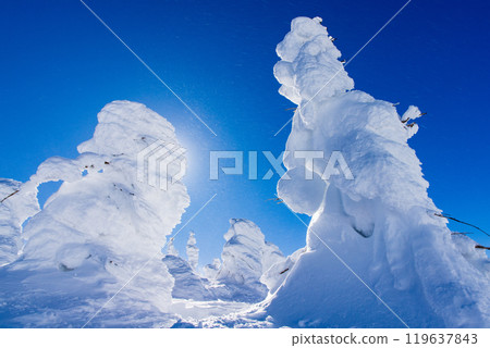 Yamagata Zao的冰晶 119637843