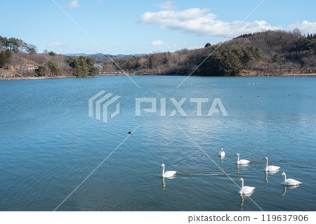 Takamatsu Pond in Morioka, Iwate, Japan 119637906