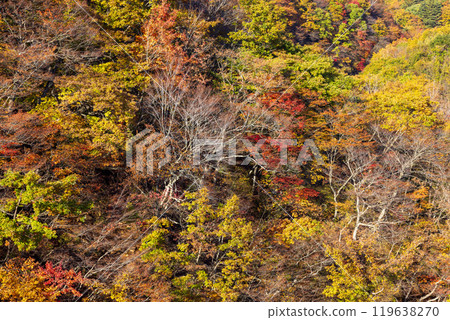 岩手縣的紅葉 岩手縣的紅葉 119638270