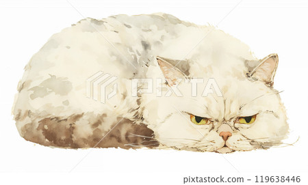 Cranky cat Cranky cat 119638446