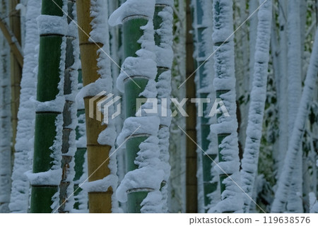 京都雪竹林中的雪花圖案 京都雪竹林中的雪花圖案 119638576